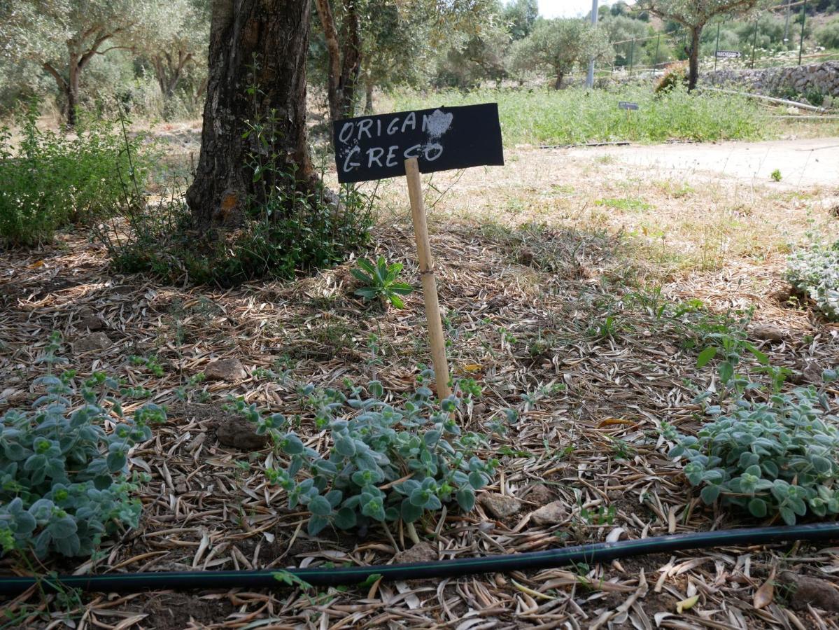 Sortino Pantalica Ranch Agriturismo Sicilianoヴィラ エクステリア 写真