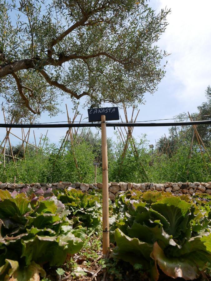 Sortino Pantalica Ranch Agriturismo Sicilianoヴィラ エクステリア 写真