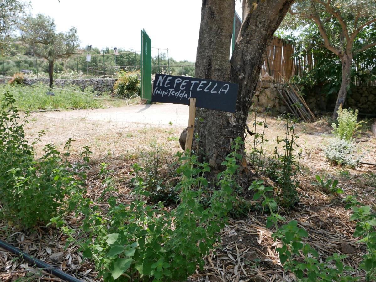 Sortino Pantalica Ranch Agriturismo Sicilianoヴィラ エクステリア 写真