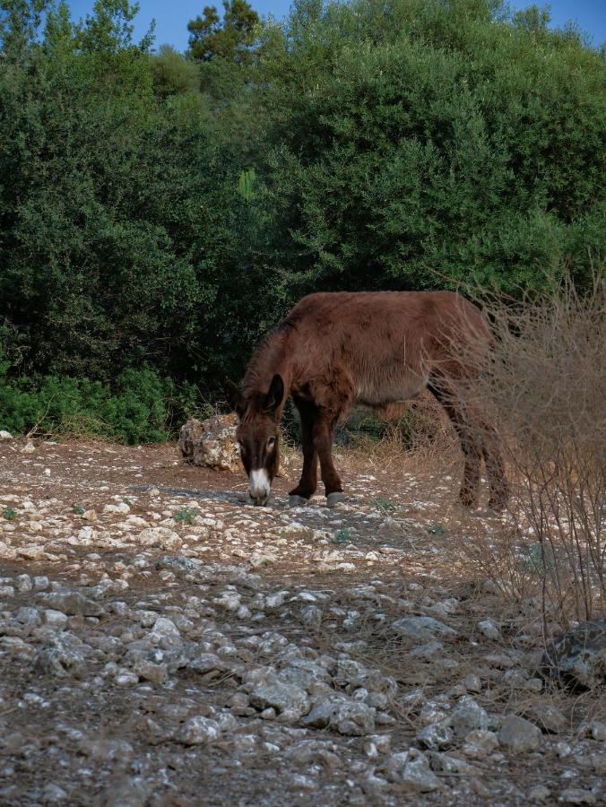 Sortino Pantalica Ranch Agriturismo Sicilianoヴィラ エクステリア 写真