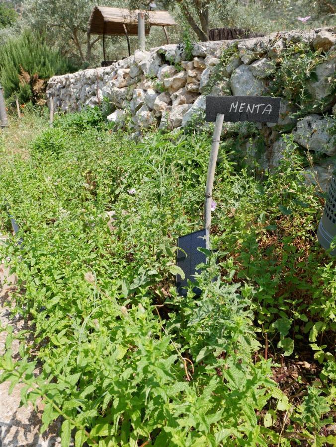 Sortino Pantalica Ranch Agriturismo Sicilianoヴィラ エクステリア 写真