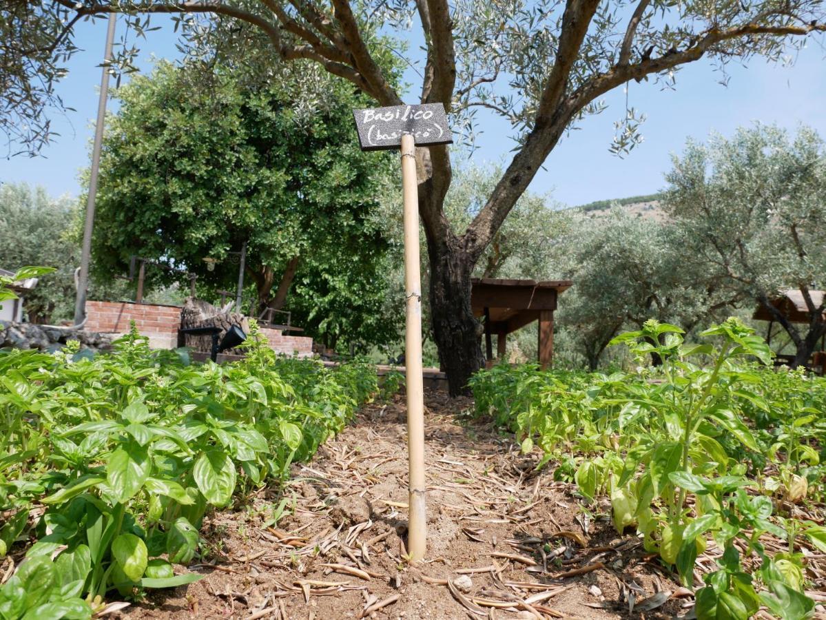 Sortino Pantalica Ranch Agriturismo Sicilianoヴィラ エクステリア 写真